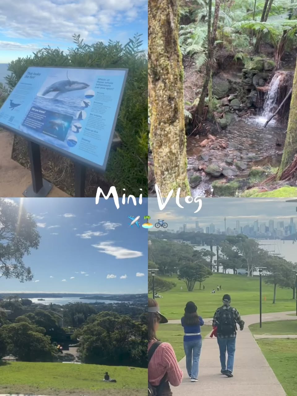 Community hiking group at Diamond Bay